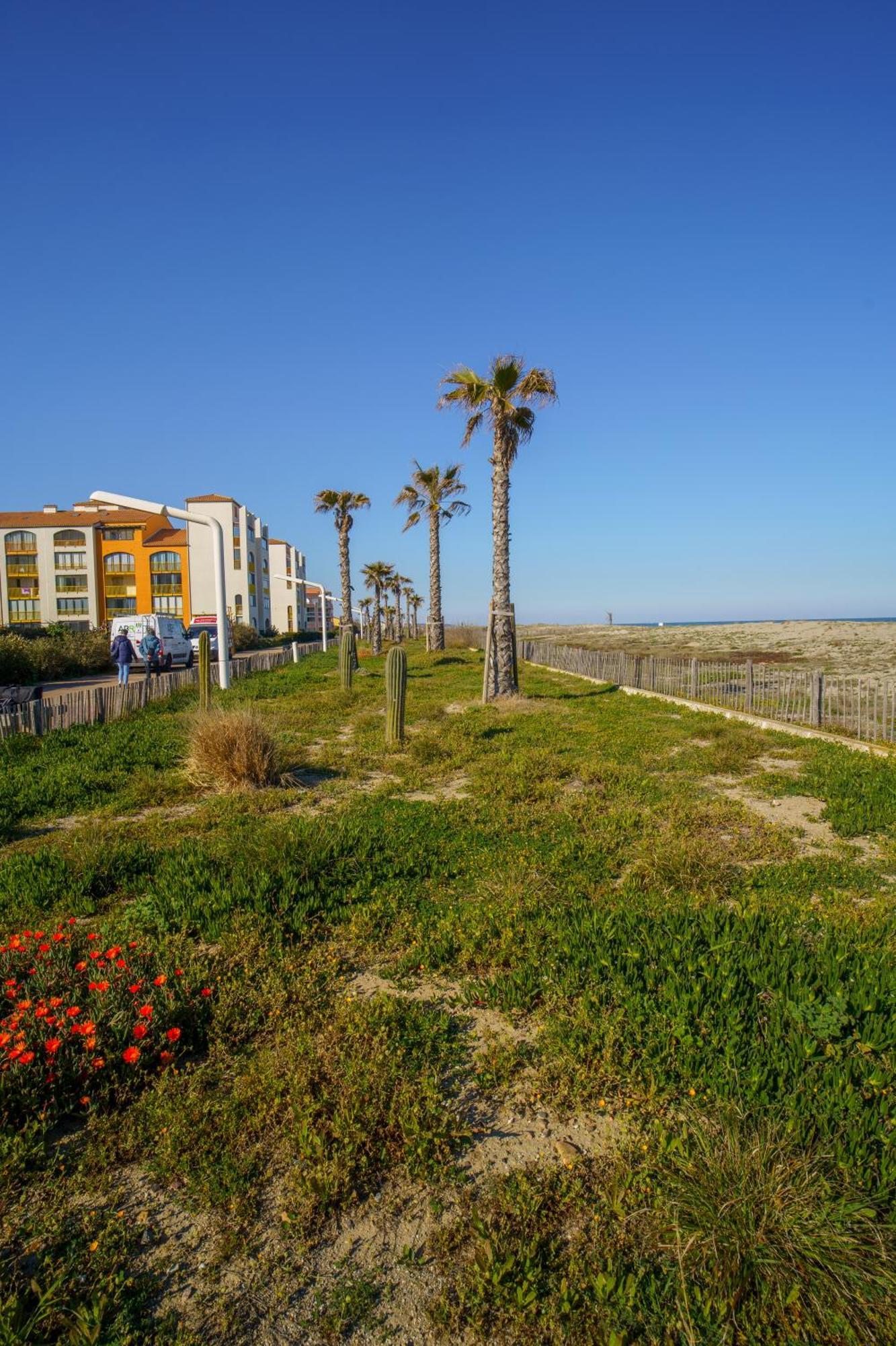 Les Pieds Dans Le Sable Le Barcarès